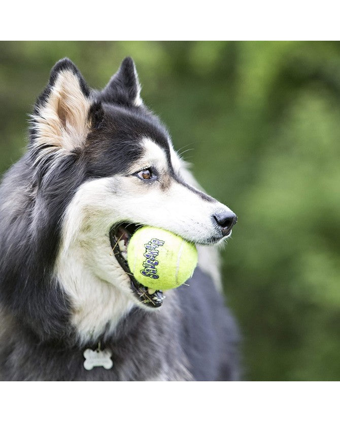 Jouet KONG® AirDog Squeaker Ball