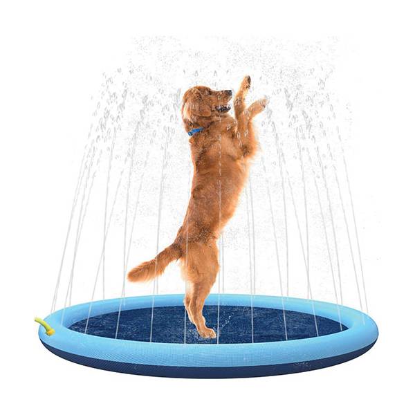 Piscine à jets pour chien
